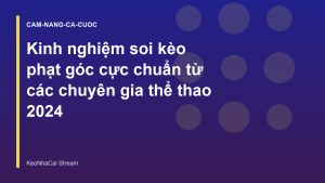 Read more about the article Kinh nghiệm soi kèo phạt góc cực chuẩn từ các chuyên gia thể thao 2026